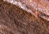 Secrets of the Desert VIII