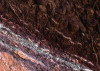 Secrets of the Desert VIII