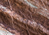 Secrets of the Desert VIII
