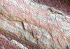 Secrets of the Desert VIII