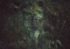 The Guardian