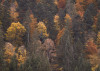 Warm Tones