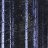 White Sticks