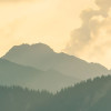 Gold Mountains