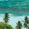 The Sea View