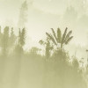 Madagaskar Scherenschnitt