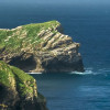 Green Ireland