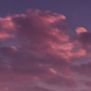 Lavender Dream