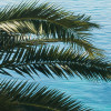 Paradise View