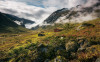 Pure Norway