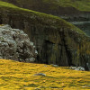 Scottish Paradise