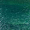 Spirit Island