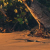 Strandgeheimnis
