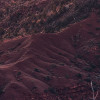 Grand View 