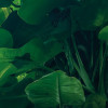 Green Leaves 
