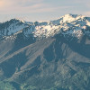 Green Ridges 