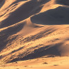 Mojave Heights 