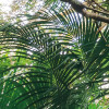 Touch the Jungle 