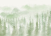Blurry Woods