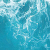 The Shore
