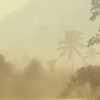 Lac Tropical