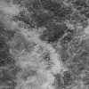Wildest Water