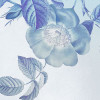 Blue Aura