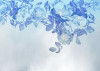 Blue Aura