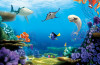 Finding Dory