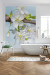 Blossom