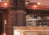 Brooklyn Nights