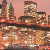 Brooklyn Nights