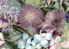 Botanica
