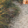 Way to the Beach