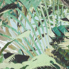 Tropical Heaven