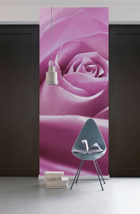 Pink Rose