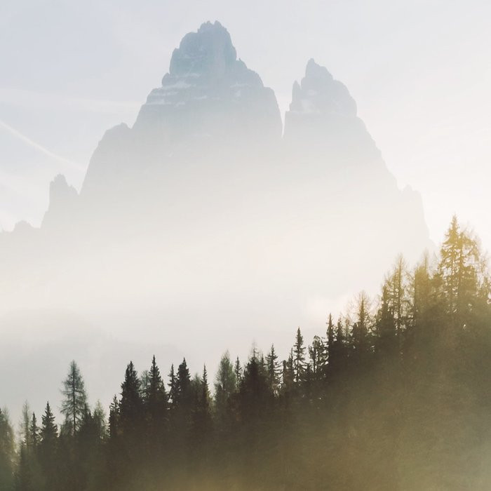 Morning Mist