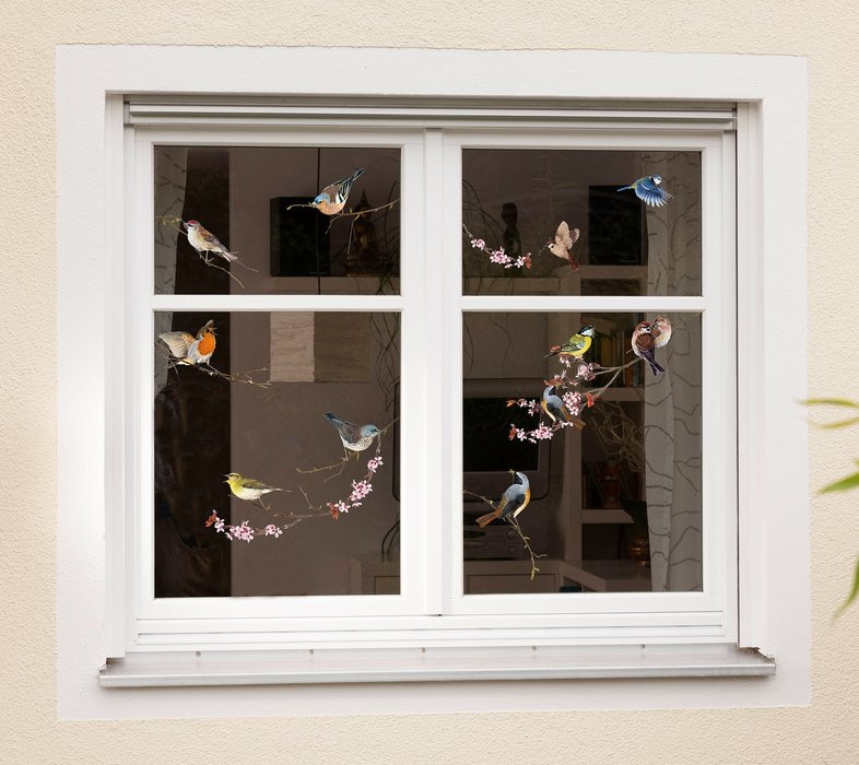 Birds