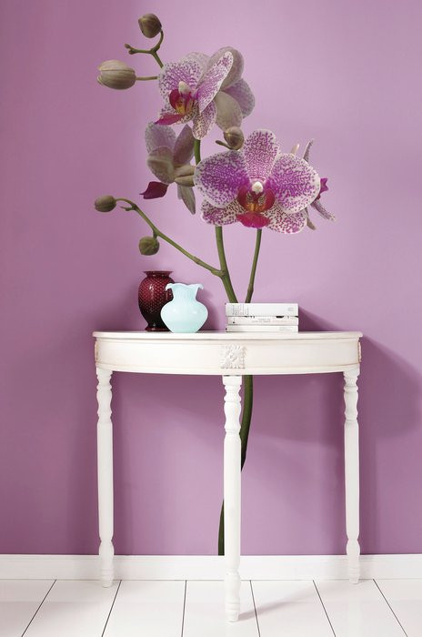 Orchidee