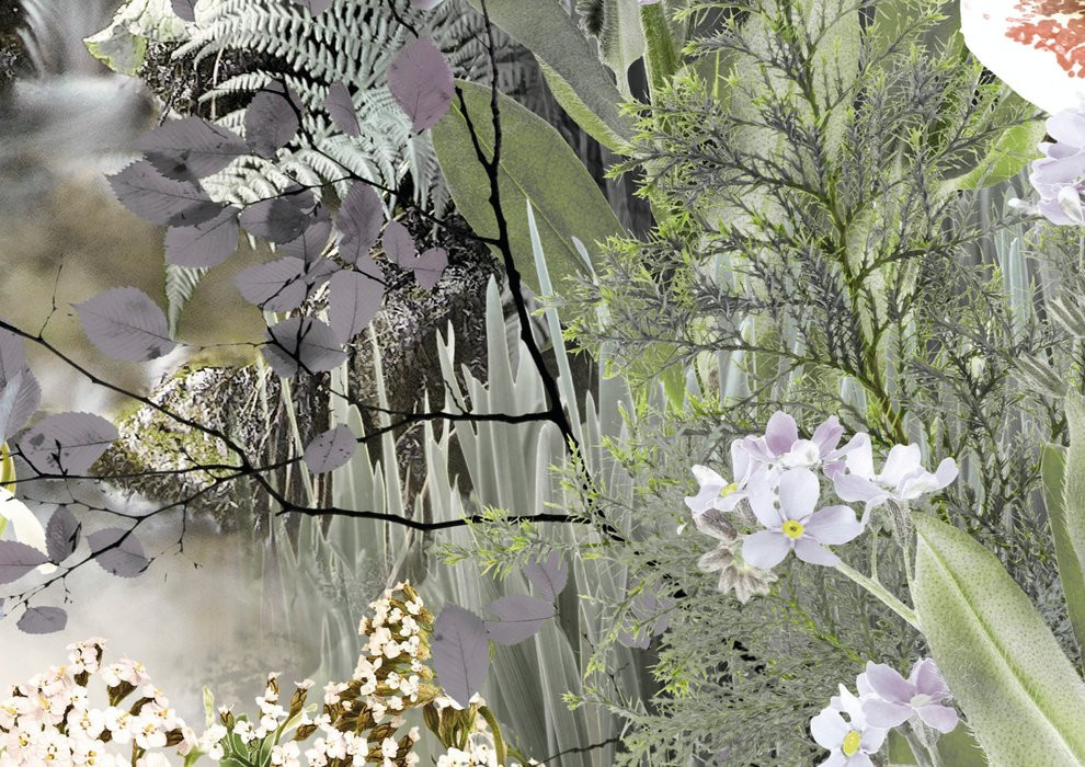 Fable