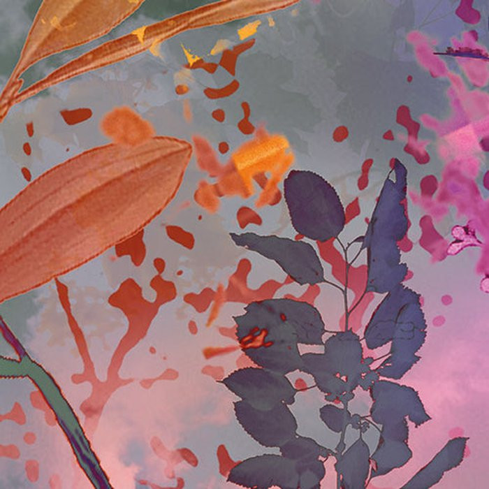 Wild Garden