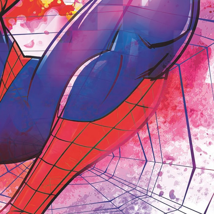 Spider-Man Graffiti 