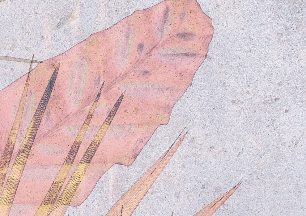 Tropical Concrete