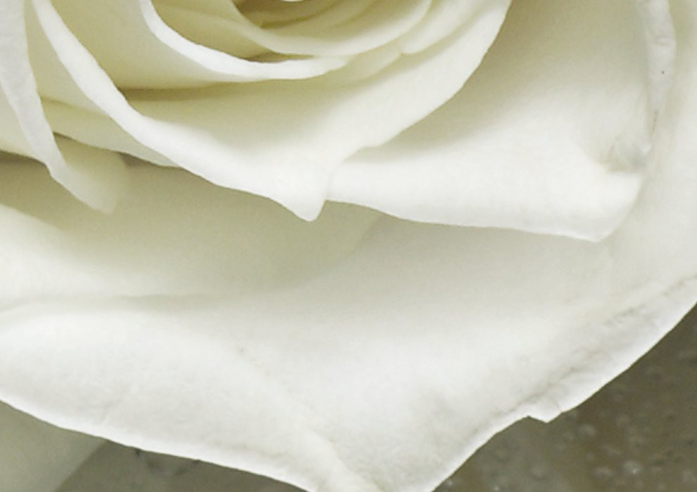 A la Rose