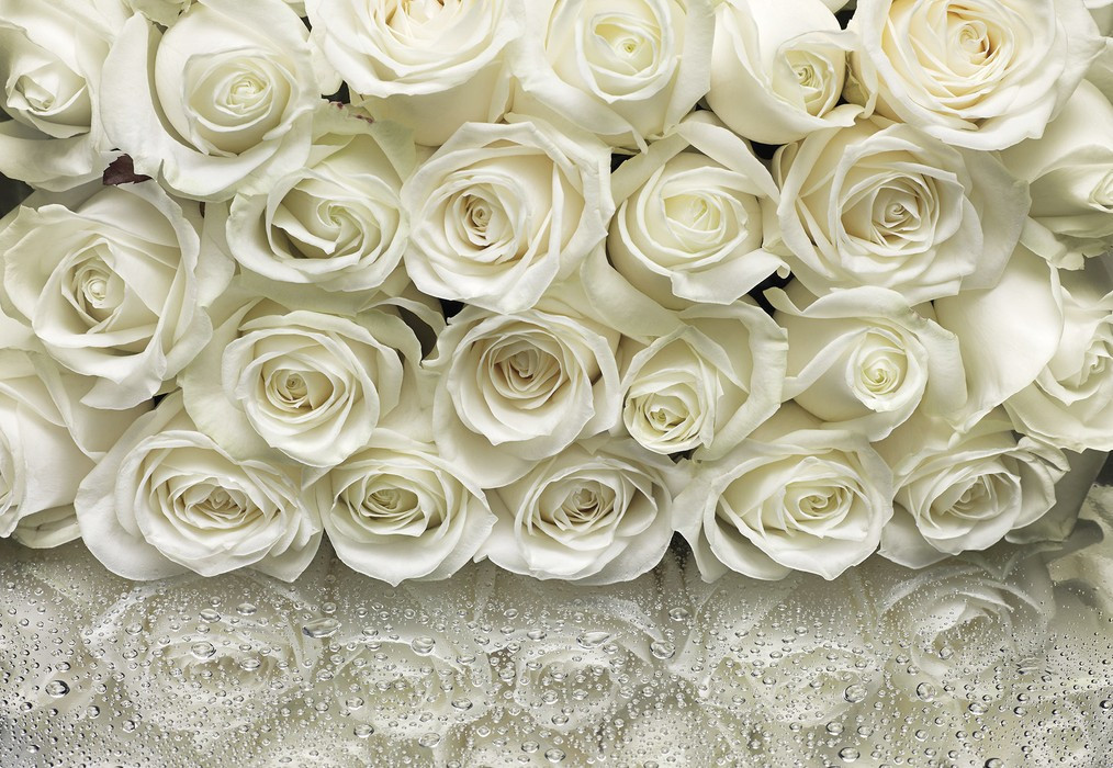 A la Rose