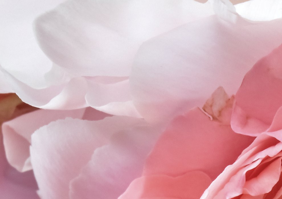 Vibrant Spring