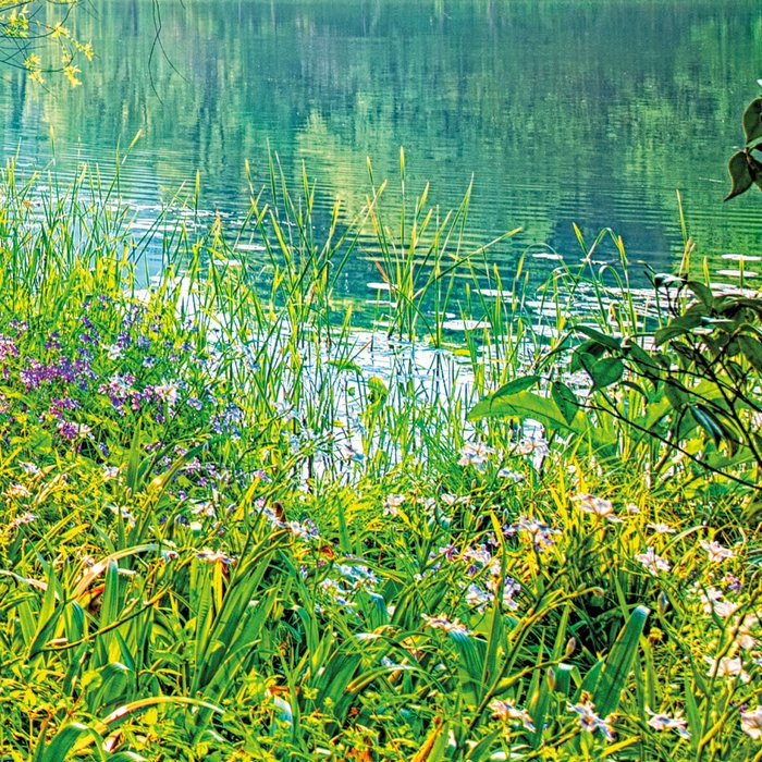 Spring Lake