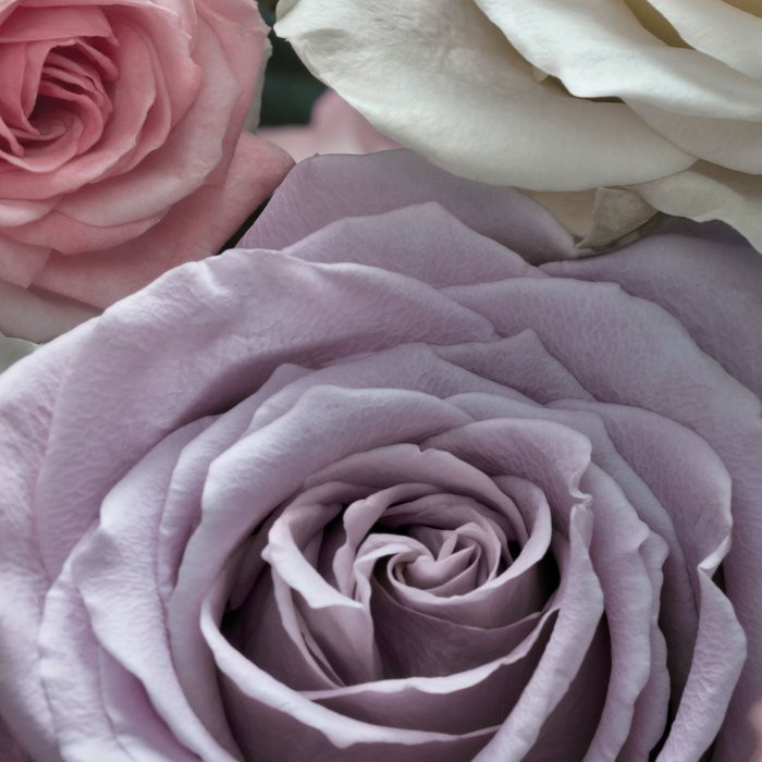 Floraison