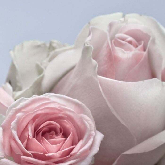 Floraison