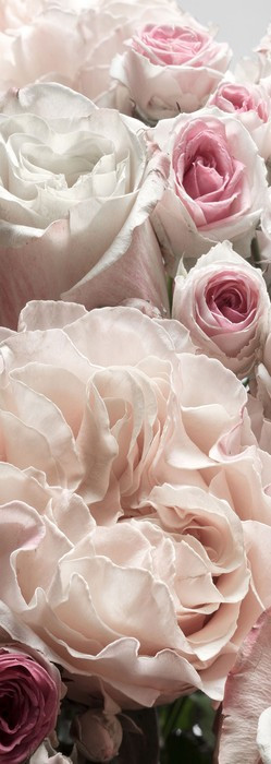 Englische Rosen
